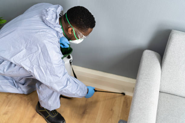 Emergency Pest Control Services in Laurel, FL